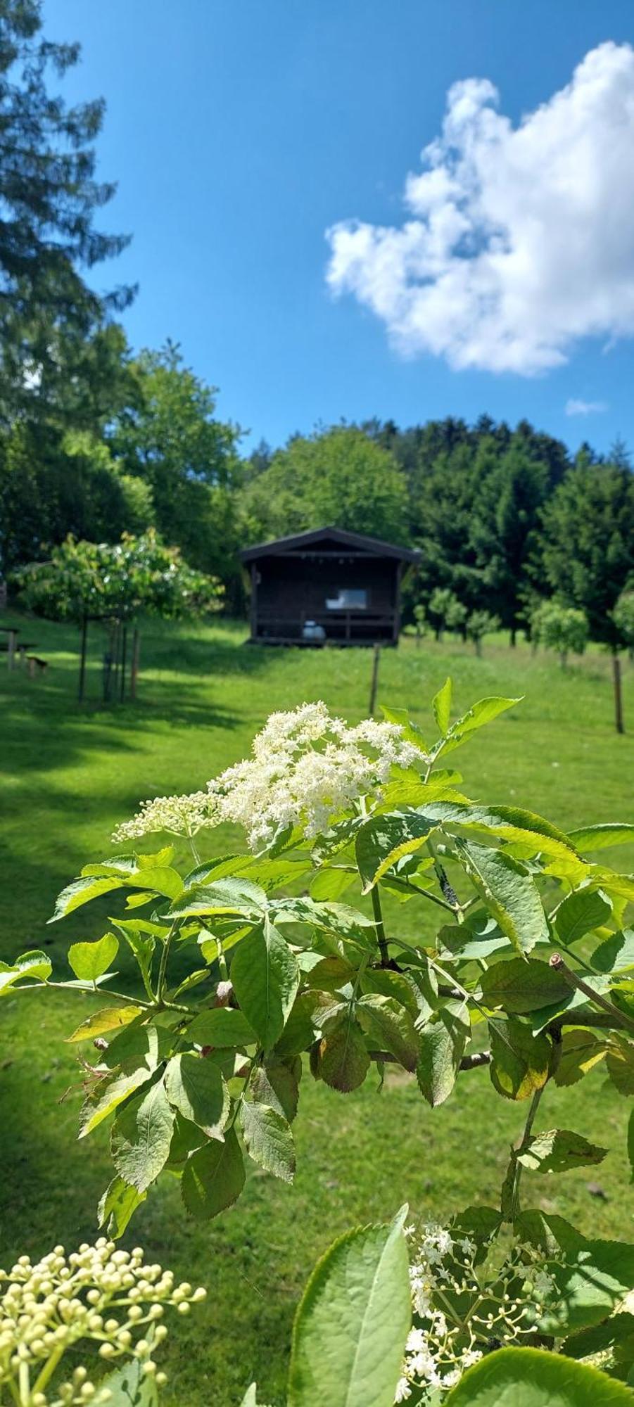 Chata Na Samote, Sumava Vrhavec Екстер'єр фото